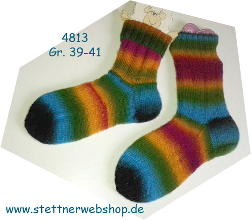 sock-4813